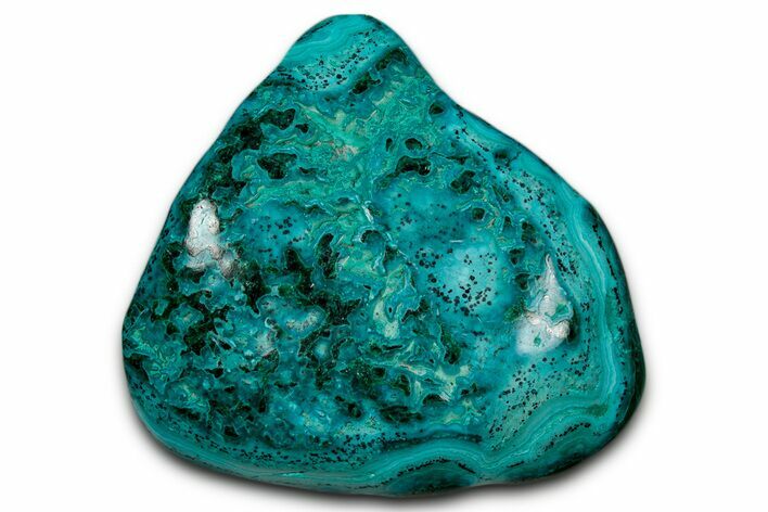 Vibrant Polished Malachite with Chrysocolla - DR Congo #336895
